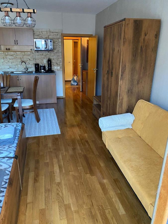 Bansko Spa Studio At Predela1 エクステリア 写真